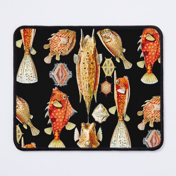 Item preview, Ostraciontes–Kofferfilche- Box fishes  Ernst Haeckel designed and sold by TeeARTHY.