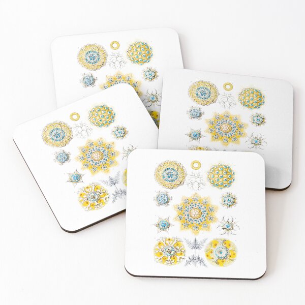 Item preview, Polycyttaria–Vereins-Strahlinge Ernst Haeckel designed and sold by TeeARTHY.