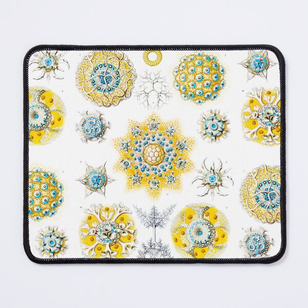 Item preview, Polycyttaria–Vereins-Strahlinge Ernst Haeckel designed and sold by TeeARTHY.