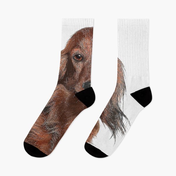 Artikelvorschau, Sehr cooler Dackel-Hund - kundenspezifisches Haustier-Porträt-Kunst-Studio entworfen und verkauft von Custom Pet Portrait Art Studio.