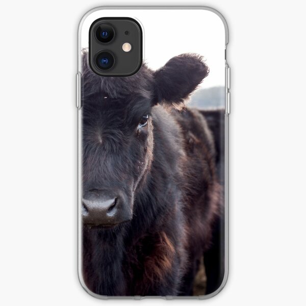 Cow iPhone cases & covers | Redbubble