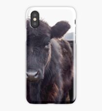 Brown Cow iPhone Case/Skin