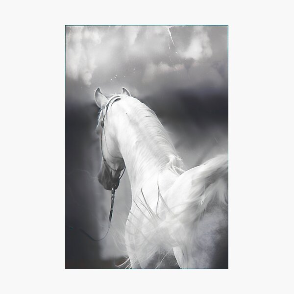 New Year Soft Photographic Print