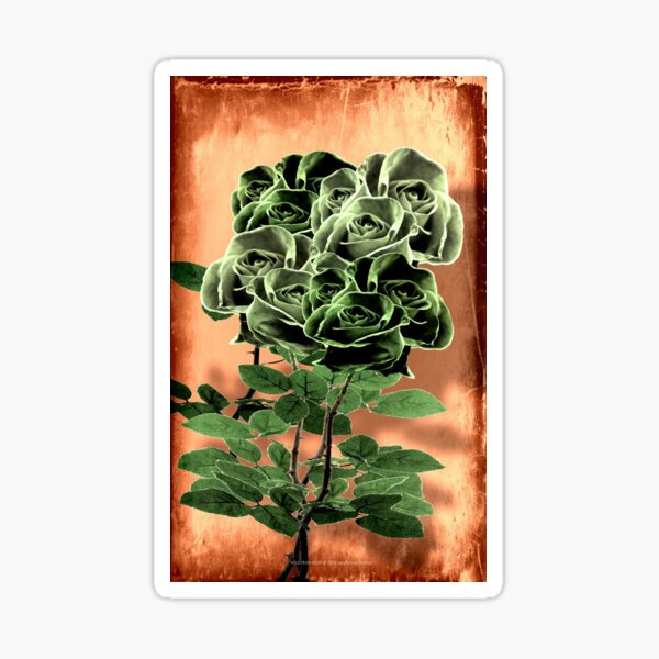 WILD IRISH ROSE - 051 Sticker