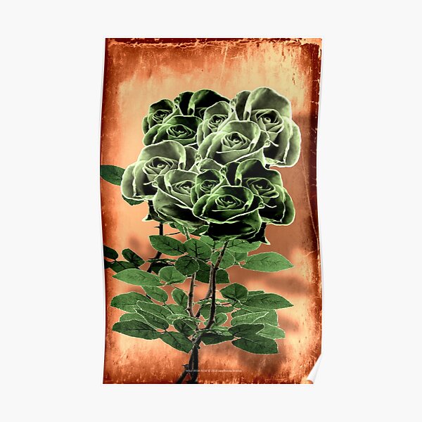 WILD IRISH ROSE - 051 Poster