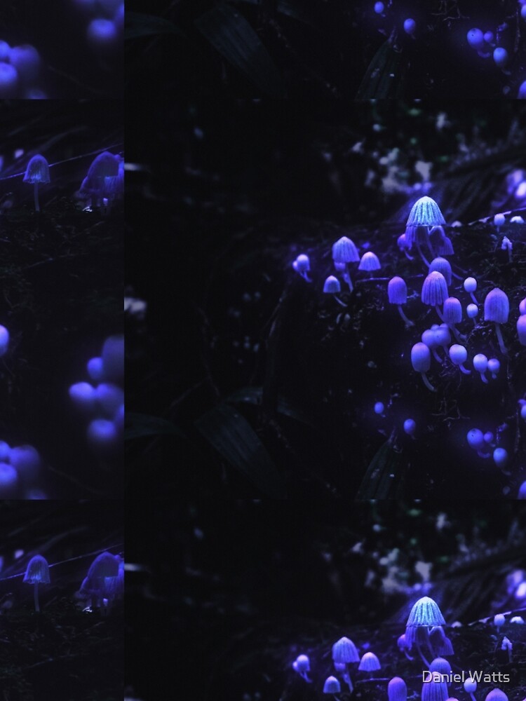 The Glowing Mushrooms by DanJohnDesign