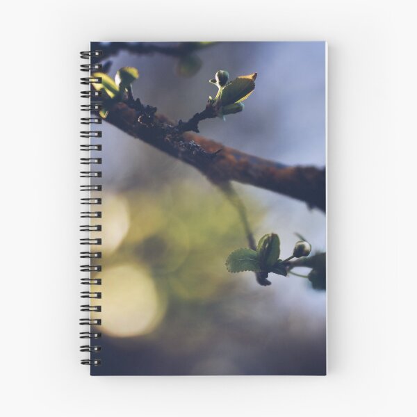 Item preview, The forest that once was green.... designed and sold by photo-lumiere.
