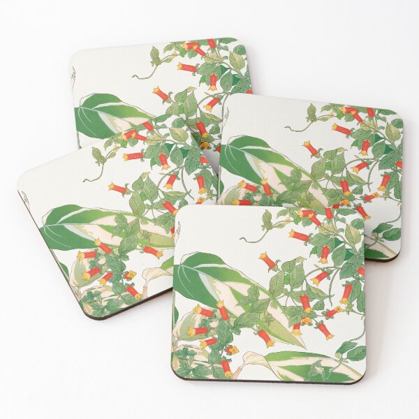Item preview, Maranta And Manettia designed and sold by placefa.