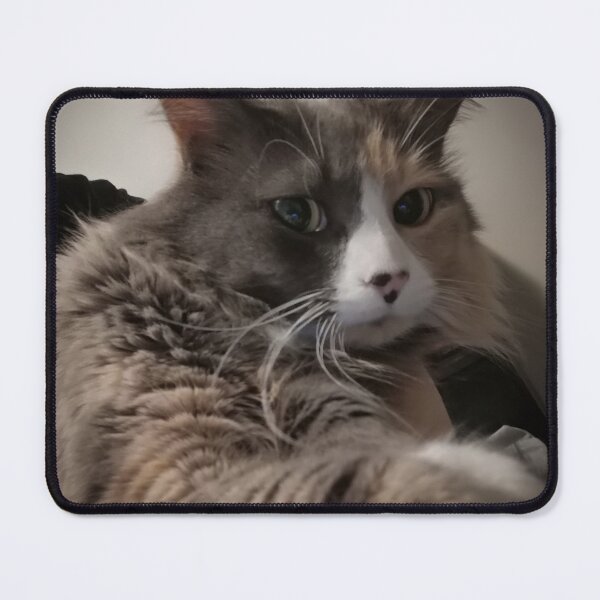 Item preview, Unimpressed Grumpy Cat designed and sold by PurrfectPixels.