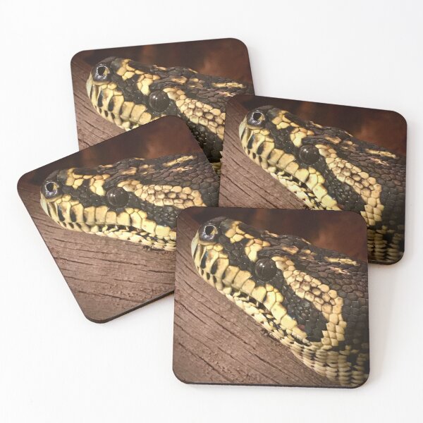 Item preview, Jungle carpet python  designed and sold by Leuk.