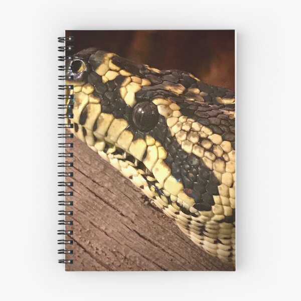 Item preview, Jungle carpet python  designed and sold by Leuk.