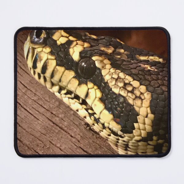 Item preview, Jungle carpet python  designed and sold by Leuk.