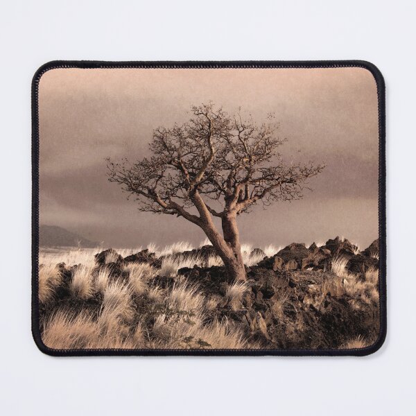 Item preview, Tree at Dusk in Waikoloa designed and sold by Ellen Cotton.