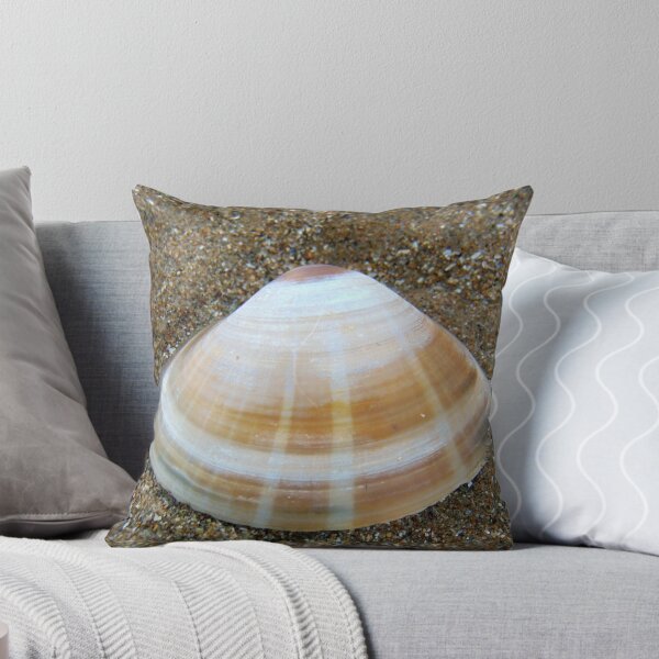 Item preview, shell designed and sold by KathleenDawson.