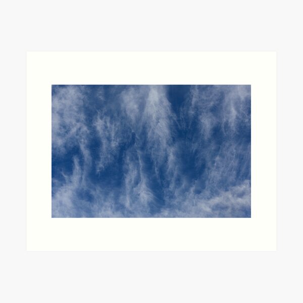 Windswept Art Print