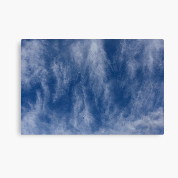 Windswept Canvas Print