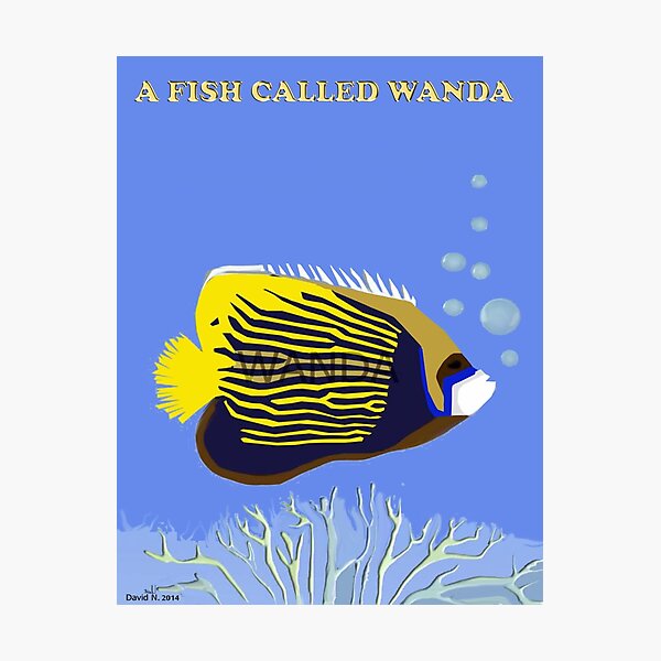 A Fish Called Wanda Photographic Print