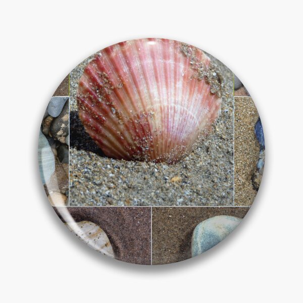 Artikelvorschau, Kiesel und Muscheln entworfen und verkauft von KathleenDawson.