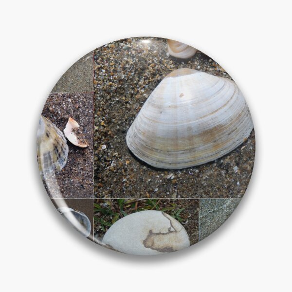 Item preview, pebbles and shells designed and sold by KathleenDawson.