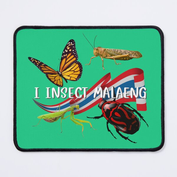 Item preview, I Insect Malaeng, english alphabet to thai translation  designed and sold by pookamon14.