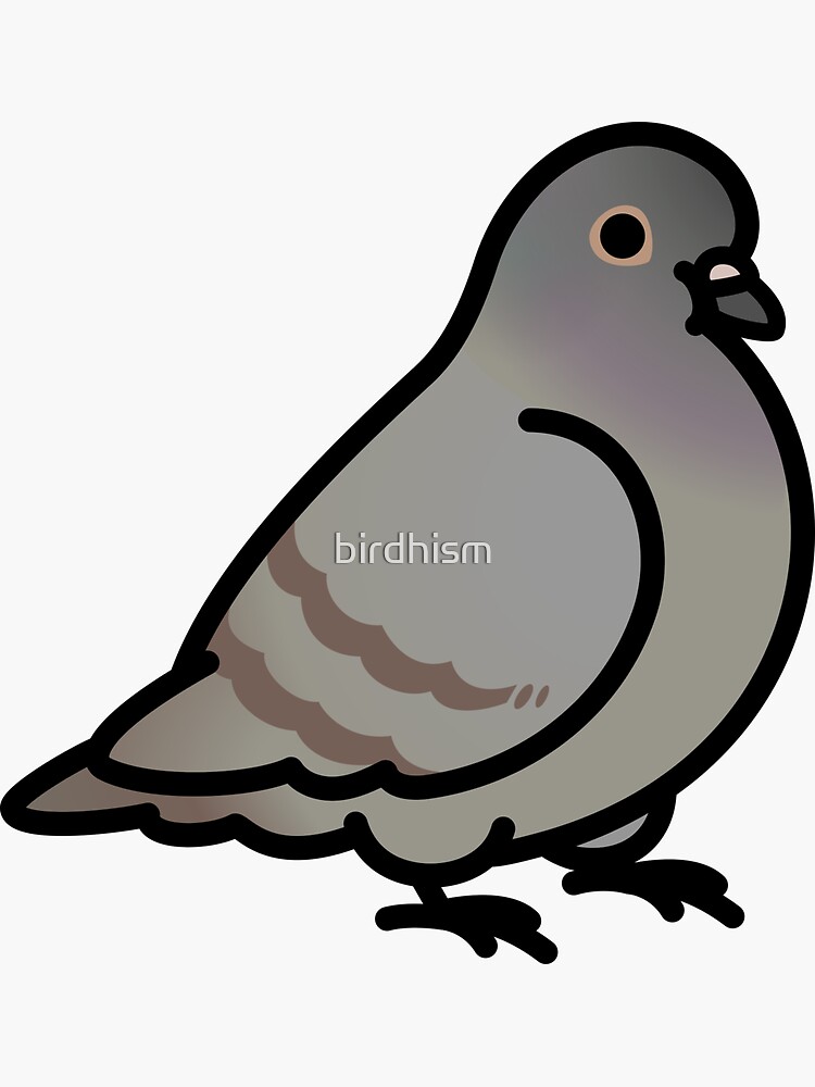 Chubby Gray Rock Tan Pigeon | Sticker