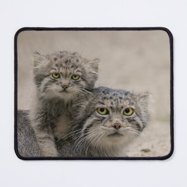 Item preview, Mia the Pallas's cat and her kitten designed and sold by Manulization.