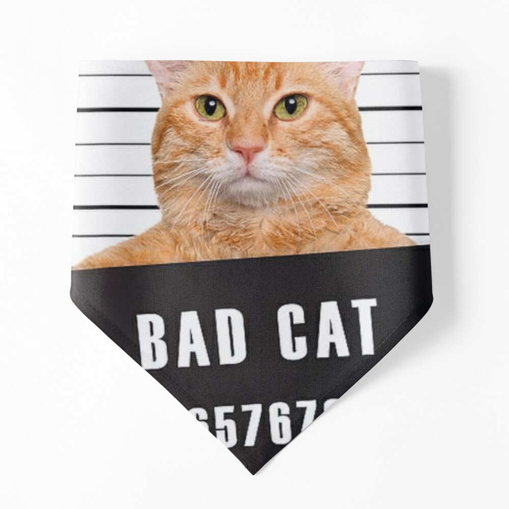 Bad cat Print A4 size picture Naughty scruffy miserable -  Portugal