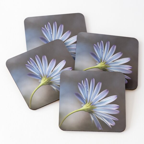 Item preview, Cape Daisy Has Blues  designed and sold by Joy Watson - Natural Light Photography .