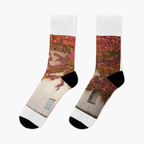 Item preview, the wall of an old house covered with creeper leafs autumn season designed and sold by goceris.