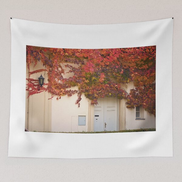 Item preview, the wall of an old house covered with creeper leafs autumn season designed and sold by goceris.