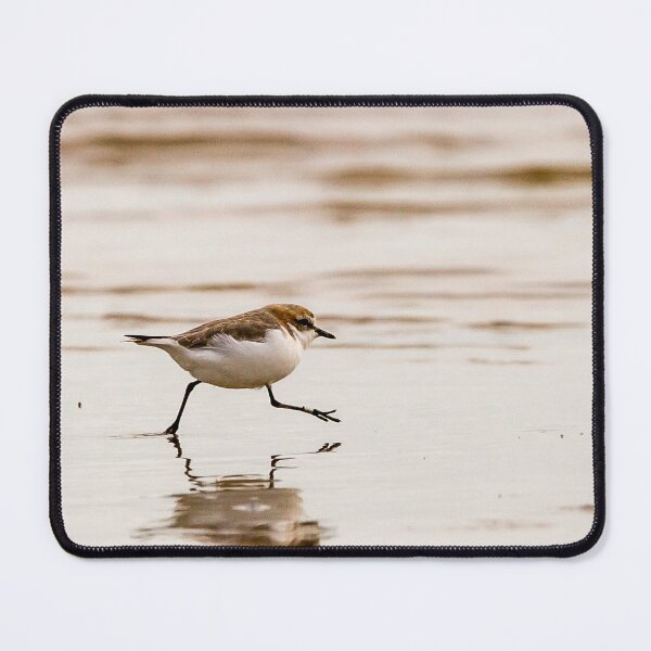 Item preview, Red-capped Plover designed and sold by Images by Chris de Blank.
