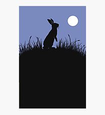Moonlit Rabbit Photographic Print