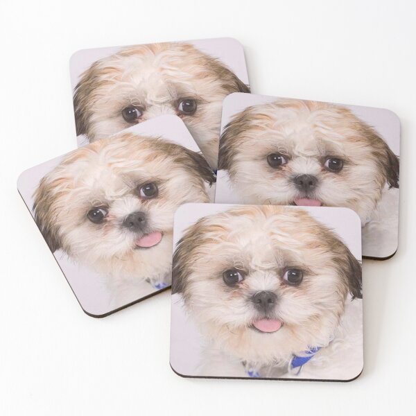 Item preview, Zuchon Dog designed and sold by Trendy Design.