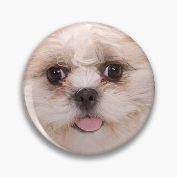 Item preview, Zuchon Dog designed and sold by Trendy Design.