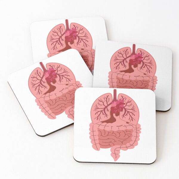 Item preview, Internal human body organs costume designed and sold by Rhu Creations.