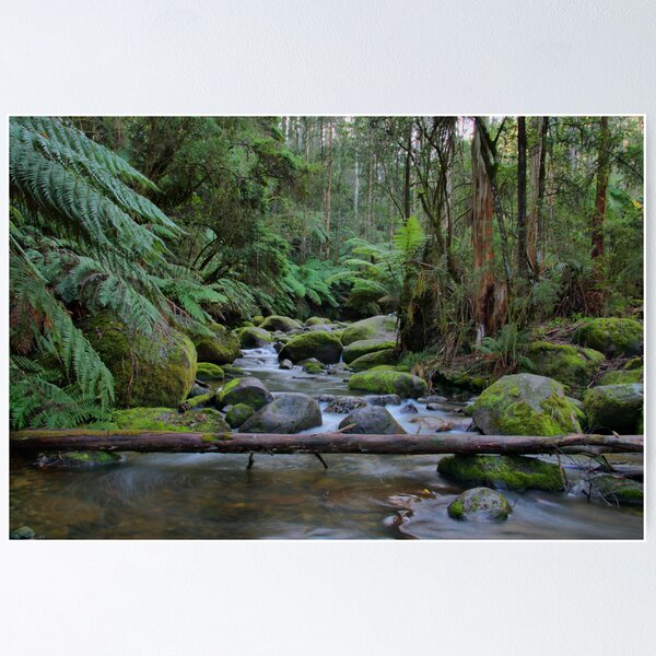 Item preview, Toorongo River designed and sold by diazy05.