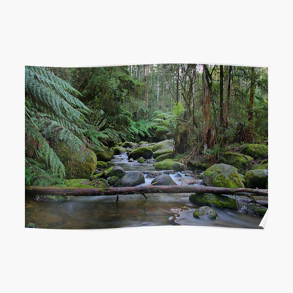 Toorongo River Poster