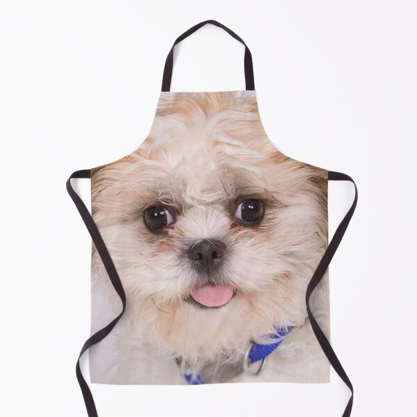 Item preview, Zuchon Dog designed and sold by Trendy Design.