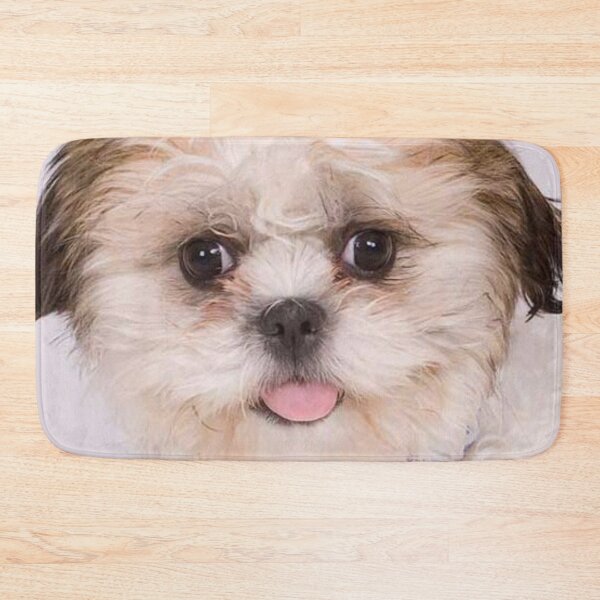Item preview, Zuchon Dog designed and sold by Trendy Design.