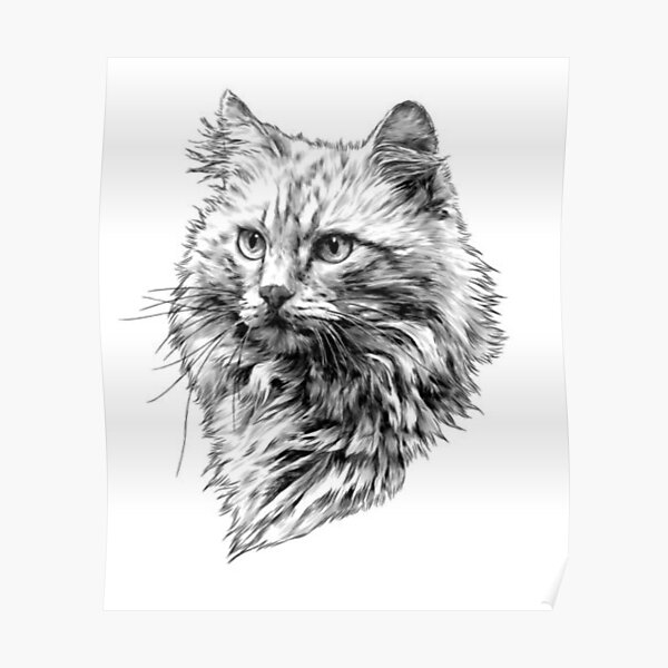 Chat Noir Posters For Sale Redbubble