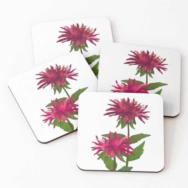 Item preview, Bee Balm (Monarda) designed and sold by PAPERPLAN.