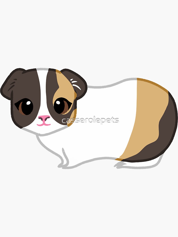 "tricolour guinea pig (clover)" Sticker for Sale by casserolepets