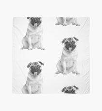 Mops 02 Tuch