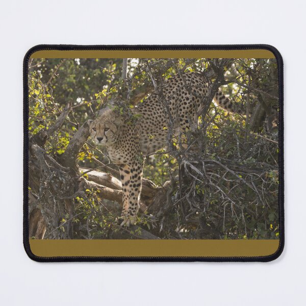 Item preview, Cheetah designed and sold by FlyladyphotoBWC.