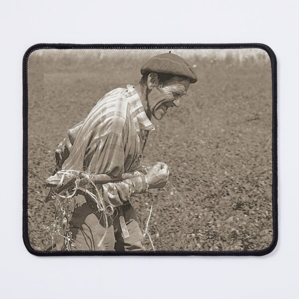 Item preview, r558/finition 2022: pour les Anciens dureté-courage pour tirer une rateleuse de Foin - Okaio Créations Olavia-Ola designed and sold by o.okaïo.