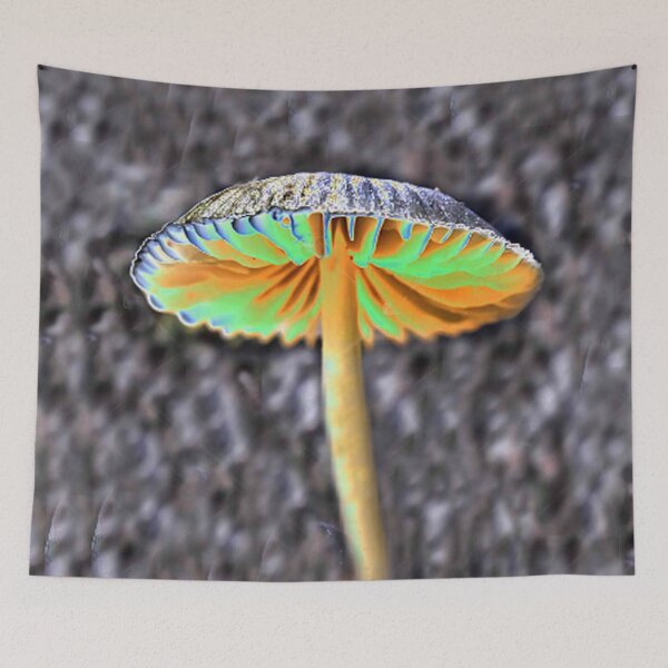 Item preview, Colorful Mushroom designed and sold by Carlo Varo.