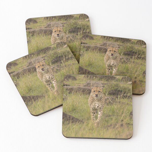 Item preview, Cheetah - head on. designed and sold by FlyladyphotoBWC.