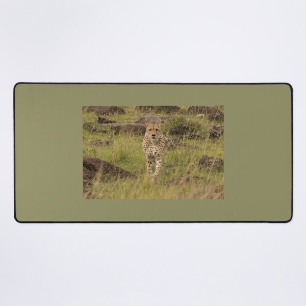 Item preview, Cheetah - head on. designed and sold by FlyladyphotoBWC.
