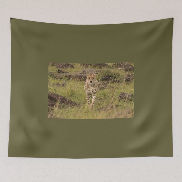 Item preview, Cheetah - head on. designed and sold by FlyladyphotoBWC.