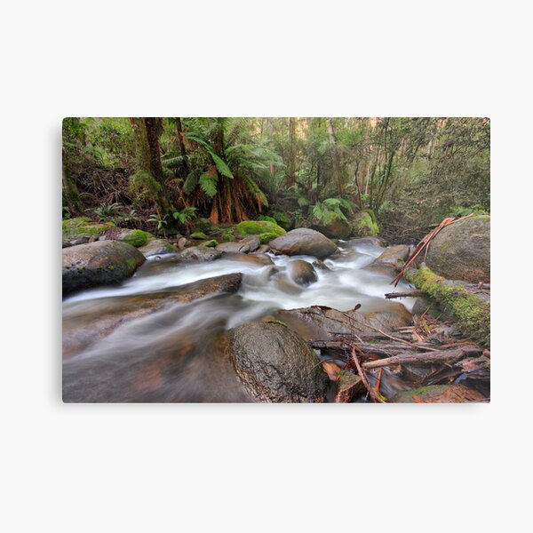 Toorongo Torrent Metal Print